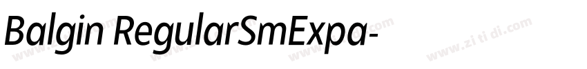 Balgin RegularSmExpa字体转换 Balgin RegularSmExpa字体转换